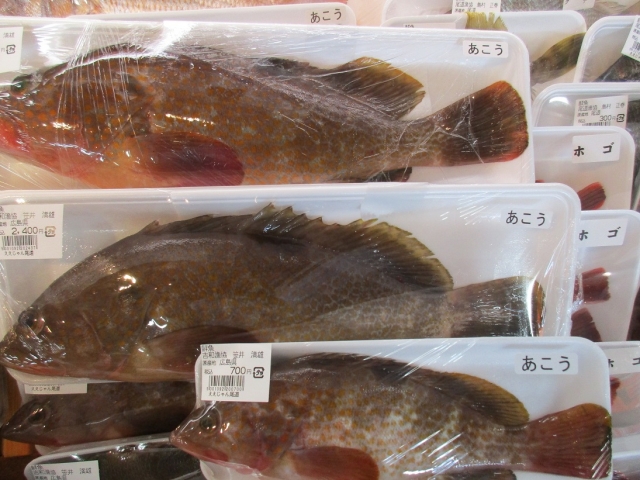 新着情報一覧 尾道季節の地魚の店