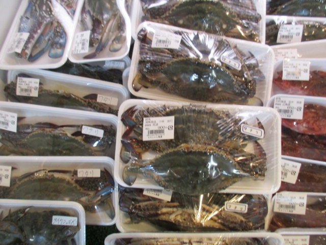 新着情報一覧 尾道季節の地魚の店