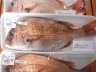 ニュース画像