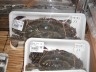 ニュース画像