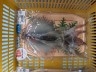 ニュース画像