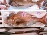 ニュース画像